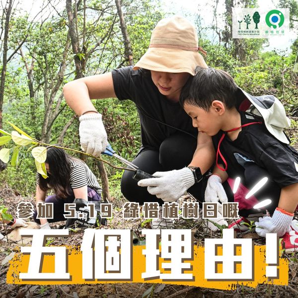 Five Reasons to Join TGE Tree Planting Day (2024/04/25)
